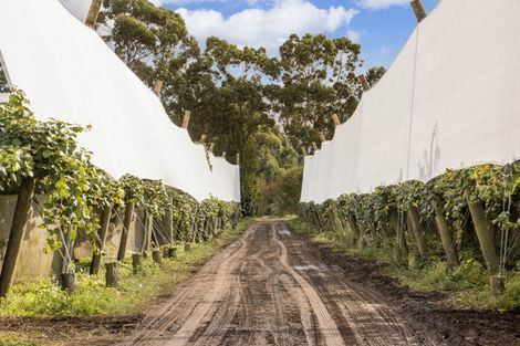 Photo of property in 416 State Highway 2, Tahawai, Katikati, 3170