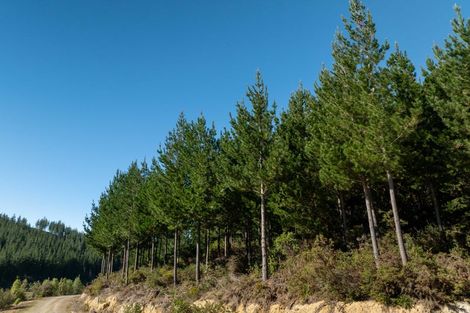 Photo of property in 96 Sunridge Park Road, Morrinsville, 3375