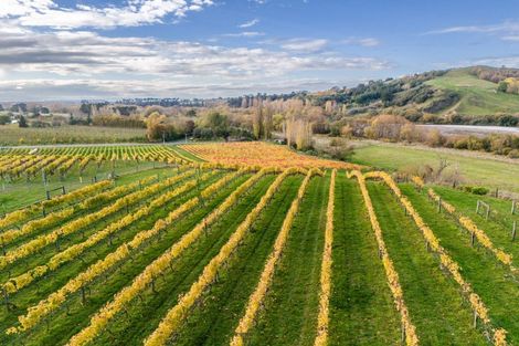 Photo of property in 56 River Road, Havelock North, 4294