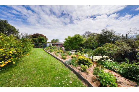 Photo of property in 31 Andrew Street, Marchwiel, Timaru, 7910