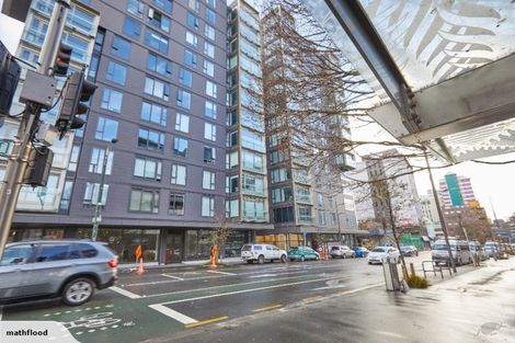 Photo of property in Vsp Nothern Tower, 166c1 Victoria Street, Te Aro, Wellington, 6011