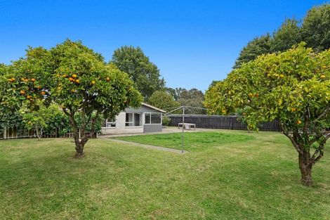 Photo of property in 40 Arawa Road, Whakatane, 3120