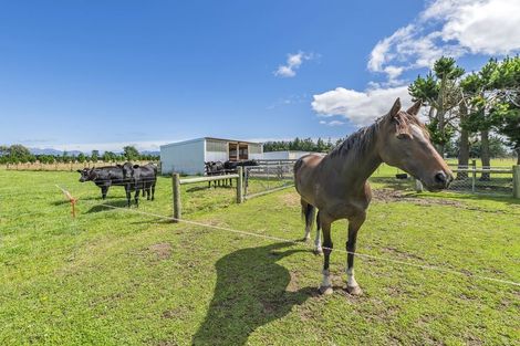 Photo of property in 507 Browns Rock Road, Burnt Hill, Oxford, 7495