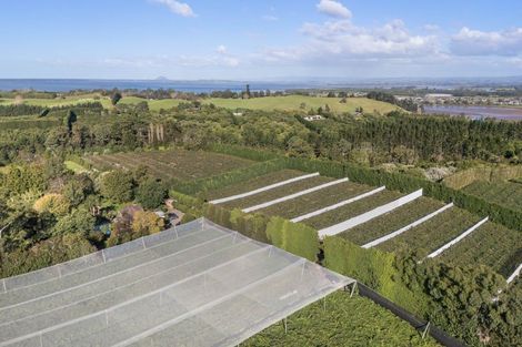 Photo of property in 416 State Highway 2, Tahawai, Katikati, 3170
