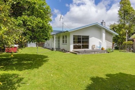 Photo of property in 7 Halsey Street, Levin, 5510