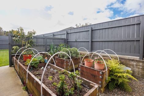 Photo of property in 30 Daniel Place, Kelvin Grove, Palmerston North, 4414