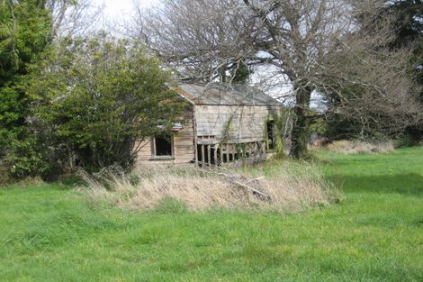 Photo of property in 42 Mcmaster Street, Greytown, 5712