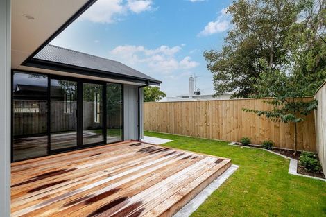 Photo of property in 10 Limbrick Street, Terrace End, Palmerston North, 4410