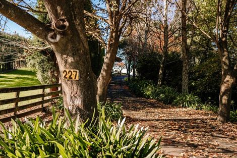 Photo of property in 227 Wairoa Road, Minden, Tauranga, 3171
