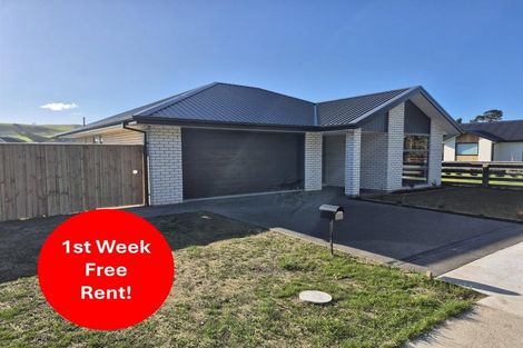 Photo of property in 65 Courage Road, Amberley, 7410