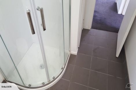 Photo of property in 74a Pine Avenue, Melville, Hamilton, 3206