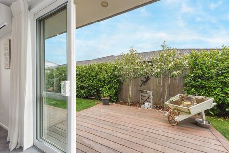 Photo of property in 15 Fairmile Road, Richmond, 7020