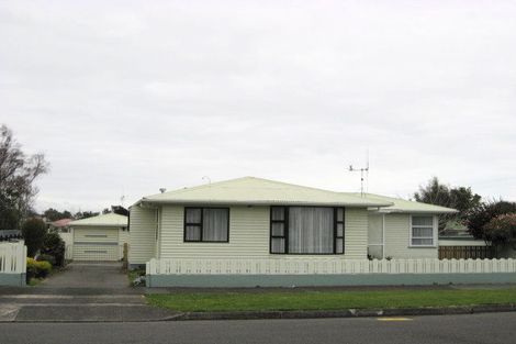 Photo of property in 8 Hobson Street, Levin, 5510