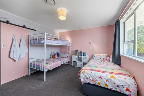 Photo of property in 38 Mckenzie Street, Witherlea, Blenheim, 7201