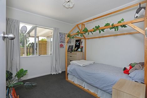 Photo of property in 9 Roots Street West, Feilding, 4702