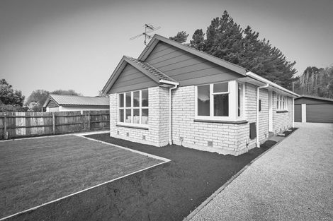 Photo of property in 47 Haslam Crescent, Hoon Hay, Christchurch, 8025
