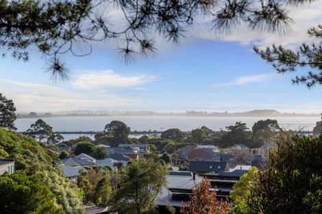 Photo of property in 8 Virginia Lane, Mount Pleasant, Christchurch, 8081