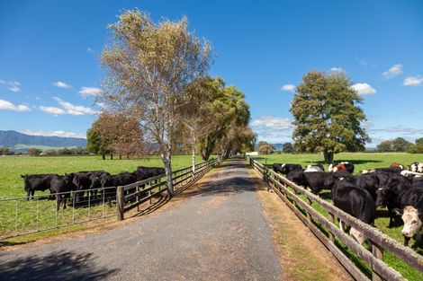 Photo of property in Taihoa Road South, Matamata, 3473