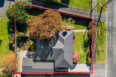 Photo of property in 13 Nelson Street, Hamilton East, Hamilton, 3216