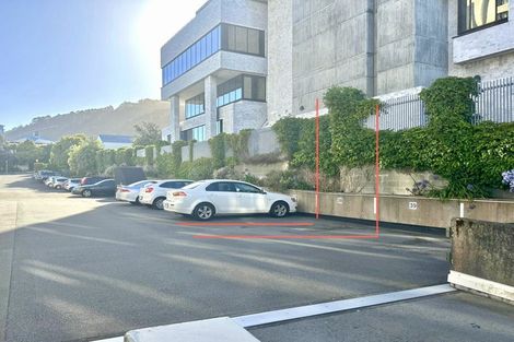 Photo of property in Hobson Court Flats, 65/70u Hobson Street, Thorndon, Wellington, 6011