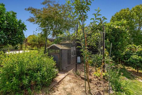 Photo of property in 126 Douglas Street, Whakatane, 3120