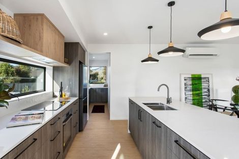 Photo of property in 101 Leistrella Road, Hoon Hay, Christchurch, 8025