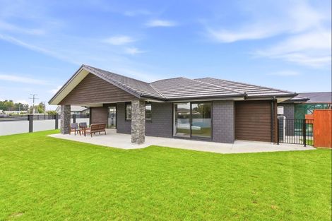 Photo of property in 50 Nancy Avenue, Feilding, 4702