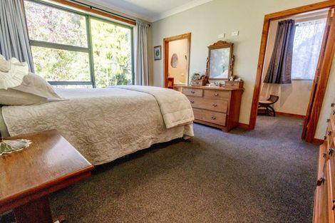 Photo of property in 26 Sanctuary Place, Kumara Junction, Hokitika, 7882