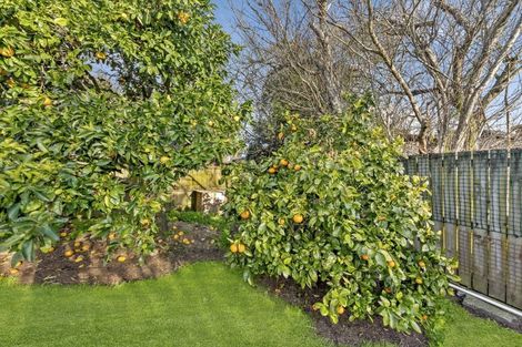 Photo of property in 24 Tiraumea Drive, Pakuranga, Auckland, 2010