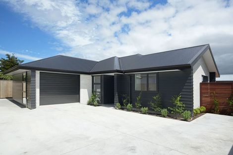 Photo of property in 50a Vogel Street, Roslyn, Palmerston North, 4414