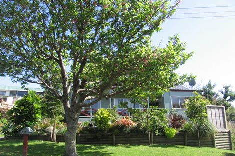 Photo of property in 11 Wellesley Grove, Gate Pa, Tauranga, 3112