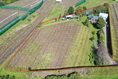 Photo of property in 591 No 3 Road, Te Puke, 3183