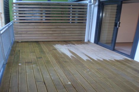 Photo of property in Dual Apartments, 106/142u Vivian Street, Te Aro, Wellington, 6011