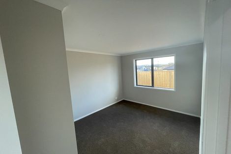 Photo of property in 17 Pipi Crescent, Tuakau, 2121
