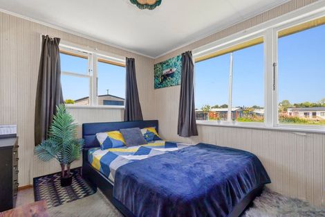 Photo of property in 135 Arapuni Street, Putaruru, 3411