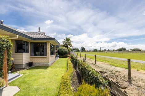 Photo of property in 309d Gascoigne Street, Raureka, Hastings, 4120