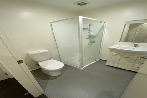 Photo of property in Carillion/the Knoll, 33 Thompson Street, Mount Cook, Wellington, 6011