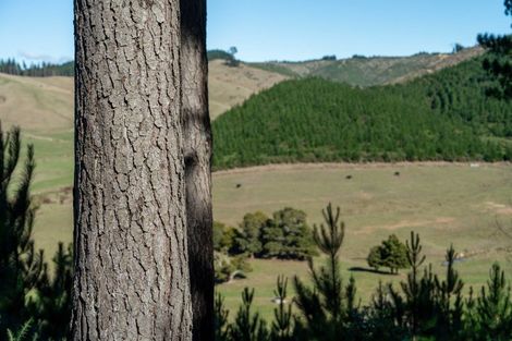Photo of property in 96 Sunridge Park Road, Morrinsville, 3375
