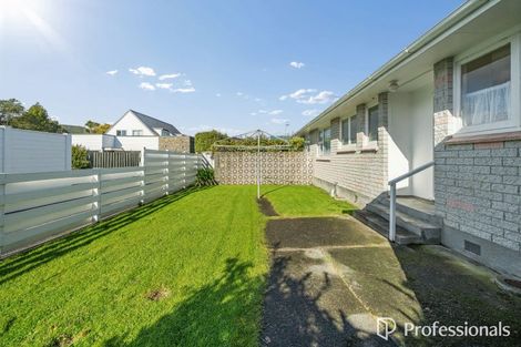 Photo of property in 52a Pretoria Street, Hutt Central, Lower Hutt, 5010