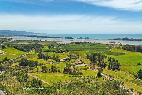 Photo of property in 161 Eden Road, Tasman, Upper Moutere, 7175