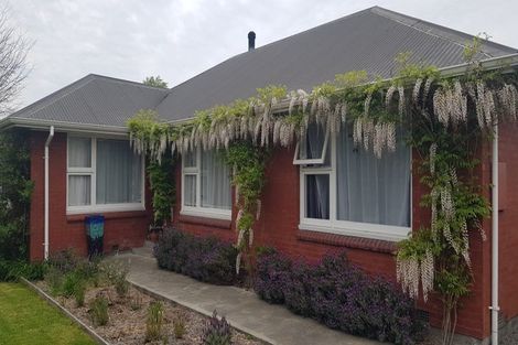 Photo of property in 7 Palmer Street, Rangiora, 7400