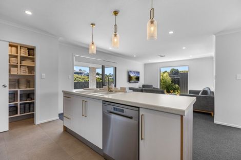 Photo of property in 166 Adler Drive, Ohauiti, Tauranga, 3112