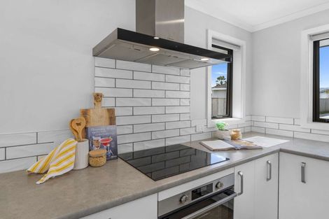 Photo of property in 137a Winchester Street, Levin, 5510