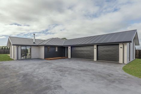 Photo of property in 29 Cressy Place, Darfield, 7510