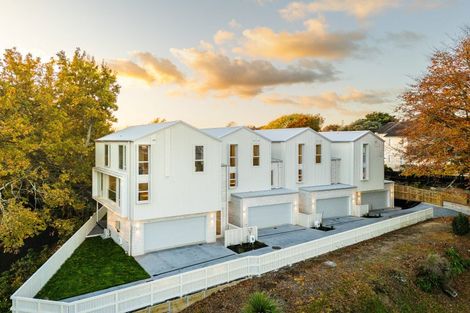 Photo of property in 1/2 Woodstock Road, Fairfield, Hamilton, 3214