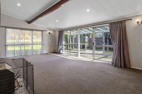 Photo of property in 53 Seventeenth Avenue, Tauranga South, Tauranga, 3112