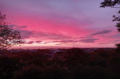 Photo of property in 310 Heale Street, Thames, 3500