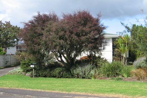 Photo of property in 21 Clinton Avenue, Te Atatu Peninsula, Auckland, 0610