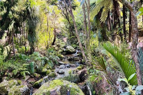 Photo of property in 600 Buffalo Road, Coromandel, 3506