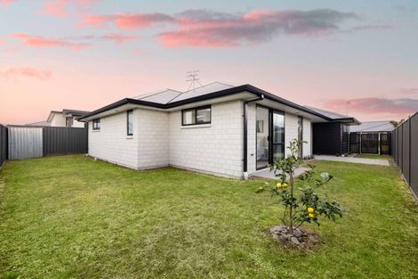 Photo of property in 11 Flack Street, Pyes Pa, Tauranga, 3112